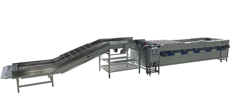 images/1657880243433clasificador de camarones.jpg